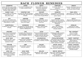 bachflowerremedieschart bach flowers holistic remedies