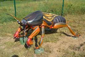 See more of turkuć podjadek on facebook. Park Owadow I Pajeczakow W Stobiernej Ma Trzech Nowych Lokatorow Biblioteka Stobierna