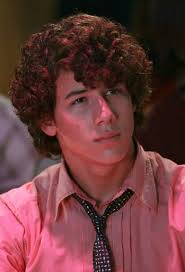 Camp Rock: Shane Gray x reader