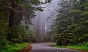 Desert Places By Robert Frost Famous Nature Poem