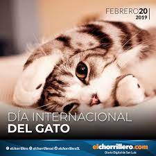 Cadena3.com el portal de cadena 3 argentina, audio en vivo, ultimas 24 horas de transmisión, noticias de argentina y el mundo. El 20 De Febrero Se Considera El Chorrillero De San Luis Facebook