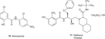Niclosamide belongs to the family of medicines called anthelmintics. Niclosamide An Overview Sciencedirect Topics