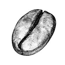 Vector Draw Of A Coffee Bean Coffee Icon Ideas Of Coffee Icon Coffeeicon Coffee Vector Draw Of A Coffee Be Coffee Icon Coffee Illustration Coffee Art
