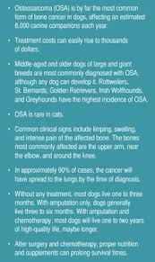 To aid the veterinarian in diagnosis, bring your dog in for an examination as soon as you recognize symptoms. Osteosarcoma In Dogs
