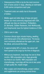 When dogs are diagnosed with an isolated tumor, surgery is common. Osteosarcoma In Dogs