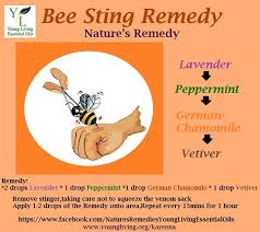 Pin By Melissa Paw On Oils Essential Oils For Skin Remedies For Bee Stings Bee Sting Essential Oil