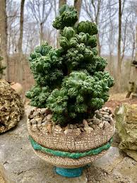 Be respectful of other users at all i'm hoping it is. 31 Unbelievable Succulents With Unique Shapes Balcony Garden Web