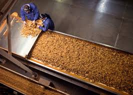 Dec 28, 2020 · cu atât mai mult cu cât, de la 1 iunie 2019, piața elvețiană a forței de muncă a fost liberalizată pentru cetățenii români.¹ pentru a găsi un loc de muncă în elveția, ai la dispoziție mai multe variante. Arhive Elvetia Munca Europa