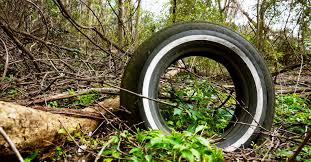 Abandoned Car Tire In The Woods 02 14 2016 Abandoned Cars Car Tires Dairy Farms