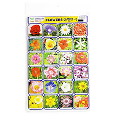 Buy Education Chart Set Of Flowers Online At Low Prices In