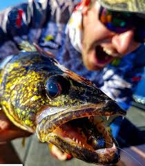 Mayfly hatch tip, Jigging Rap storage hack, Walleye sunsets