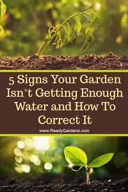 Is this going to harm my plants? 5 Signs Your Garden Isn T Getting Enough Water And How To Correct It Ready Gardens By Ready Nutrition