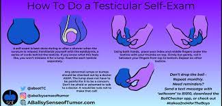 Best done during or after a shower when. What S The Deal With Testicular Exams At The Doctors A Research Study Cancer Health