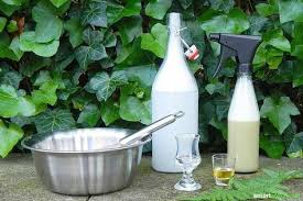 Gegen Dieses Okologische Mittel Haben Blattlause Keine Chance Garten Garten Pflanzen Und Schadlinge Im Garten