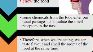Below are some of the experiments i had done in class however, i changed to use metre rule instead. Science Form 3 Chapter 1 Stimuli And Responses Youtube