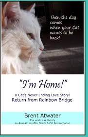 Maybe you would like to learn more about one of these? I M Home A Cat S Never Ending Love Story Pets Past Lives Animal Reincarnation Animal Communication Animals Soul Contracts Animals Afterlife Animals Spirits Atwater Brent 9781463578268 Amazon Com Books
