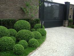 Gilberto Elkis Paisagismo Www Elkispaisagismo Com Br Buchsbaum Garten Garten Garten Landschaftsbau