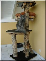Pin By Marie Levavasseur On Cattery Diy Cat Tree Diy Cat Scratcher Cat Trees Homemade