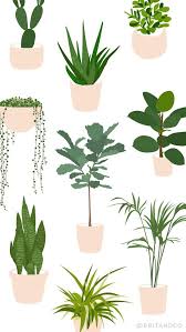 The Beginner S Guide To Trendy Indoor Plants Plant Drawing Plants Plant Art