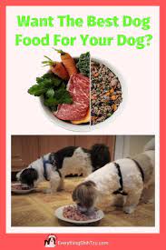 12 Dog Foods For Shih Tzu With Allergies Dog Food Recipes Healthy Dog Food Recipes Dog Food Allergies
