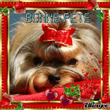 Https Encrypted Tbn0 Gstatic Com Images Q Tbn 3aand9gcs88ins6qiovm7rb2lnsm4zphyr 5qzldvlva Usqp Cau