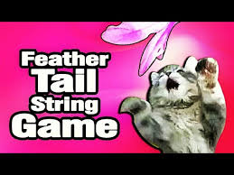 Check spelling or type a new query. Cat Play With Feather Kucing Parsi Paling Comel Kucing Parsi Persian Cat Food Persian Kitten Youtube