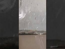 من اولا الدهان ام البلاط Youtube