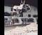 Bodies Challenger Astronaut Autopsy Photos