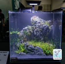 I was impressed with the construction of this aquascaping tool set. 2018 Aquatic Experience Coverage Part Ii Aquascaping Contest