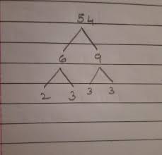 Maybe you would like to learn more about one of these? Find The Prime Factorization Of 54 Brainly In