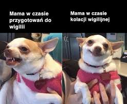 We did not find results for: Filmy Swiateczne 2020 Artykuly Gazeta Wspolczesna