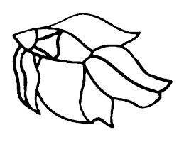 Tropical Fish Stained Glass & Stepping ...