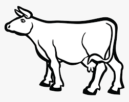 Our drawing lessons continue with this simple how to draw a cow step by step tutorial. Transparent Baby Cow Png Cow Cartoon Black And White Png Download Kindpng