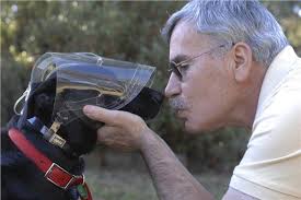 Optivizor and Novaguard