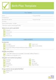 How To Write A Birth Plan Birth Plan Template Birth Plan Printable Birth Plan