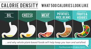 Calorie Density Approach To Nutrition And Weight Management