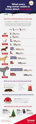 How Much Chocolate Is Poisonous To Dogs Vets Now