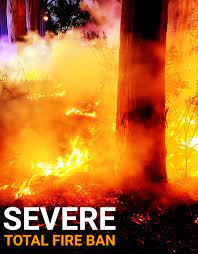 April 14 marks the 35th anniversary of the monstrous fire at garden state park race track in cherry hill. Cherry Gardens Country Fire Service Posts Facebook