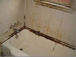 As mentioned above, mold is dangerous if you inhaled it. How To Remove Black Mold From Bathtub