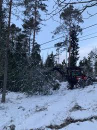 Aurora data recovery i stockholm är experter på dataräddning från hårddiskar eller ssd. Alla Kunder Har Fatt Tillbaka Strommen Efter Alfrida Vattenfall Eldistribution Ab