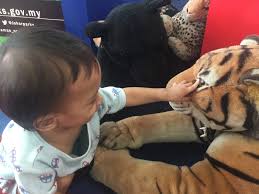 Matta fair 2017 is seen as one of the best opportunities to attract foreign tourists to indonesia. Matta Johor Travel Fair 2017