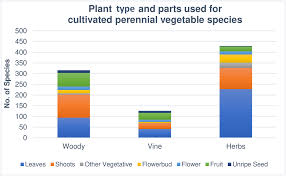 Image result for Vigna mildbraedii