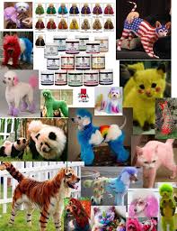 Well you're in luck, because here they come. 14 99 Top Performance Hair Dye Color Gel For Dog Cat Pet Coat Fur Coloring Grooming Ebay Home Garden Dog Hair Bows Dog Hair Dye Dog Hair