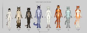 Feline Character Height Chart Females By Silverbloodwolf98
