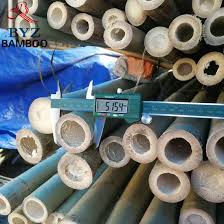 Large Moso Bamboo Big Diameter Bamboo Poles for Construction ...