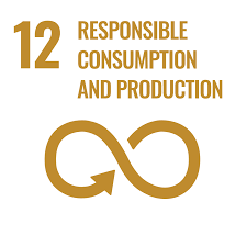 Individual pdfs for each language in colour and black and white. Communications Materials United Nations Sustainable Development