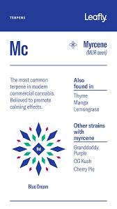 What Are Cannabis Terpenes And What Do They Do Leafly