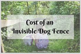 Fencing installation costs vary according to numerous factors. How Much Does An Invisible Dog Fence Cost