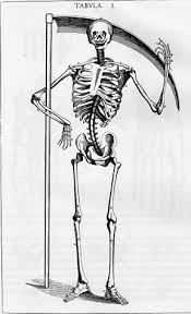 Maybe you would like to learn more about one of these? The History Of The Skeleton