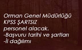 Orman genel müdürlüğü mevsimlik i̇şçi ve personel alımı başvuru formu ve şartları. Ogm Isci Alimi Yapacak Kadro Dagilimi Ve Basvuru Tarihi